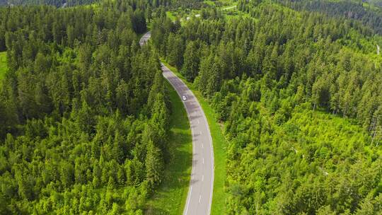 森林公路中行驶的汽车