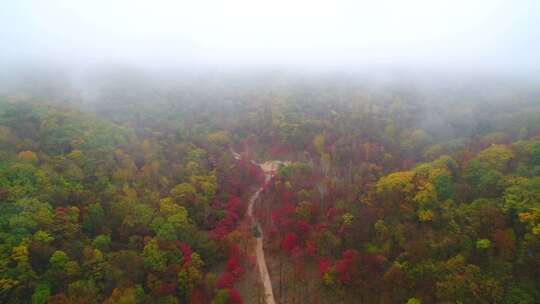 航拍吉林拉法山国家森林公园蛟河红叶谷秋景