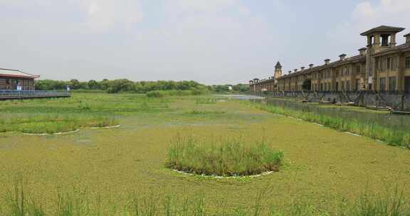 城市湿地湖泊 长荡湖水街建筑生态风光