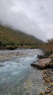 自然风光，治愈系风景，美好的一天又开始了