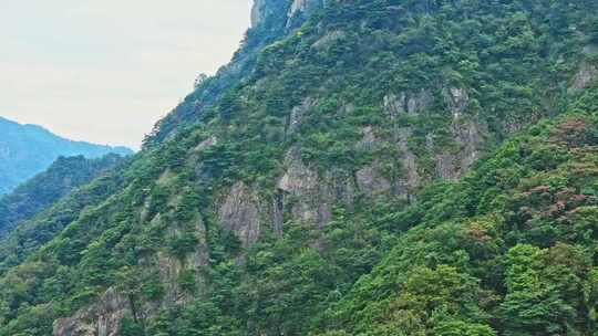 大山绿色树林森林雨林航拍