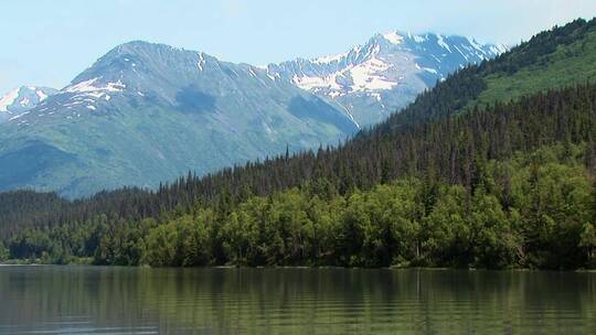 森林湖泊的自然景观视频素材模板下载