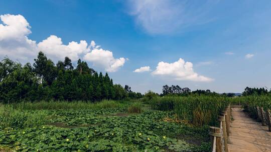 东大河湿地公园风光延时