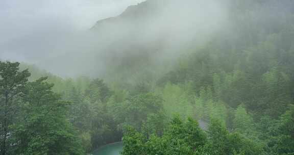 8K安吉山林雨季竹林山谷雨雾延时