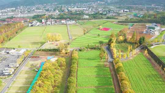 浙江湖州余村青山绿水理论发源地