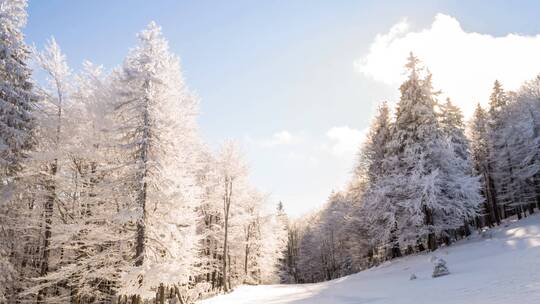 4K冬日冬季滑雪雪景雪山树林湖面云彩海面