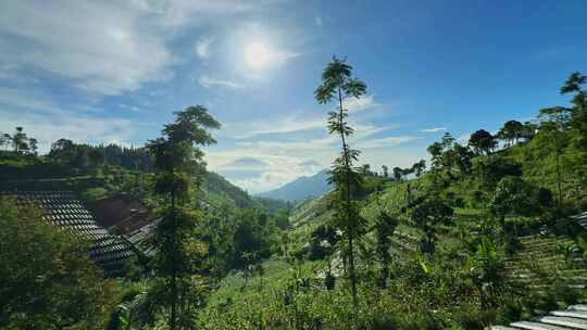 美丽风景的广角。晴天山谷上的绿色种植园，