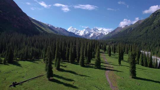新疆夏塔的森林草原雪山