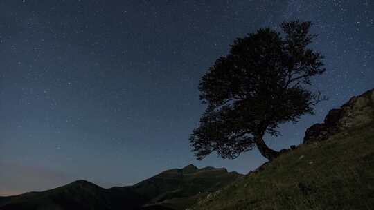 星空银河星夜下的一棵树山峰山顶星空