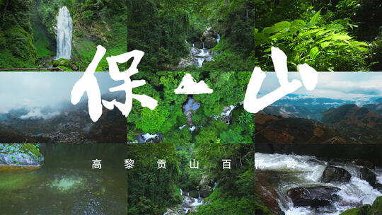 云南保山高黎贡山百花岭，雨林瀑布植被生态视频素材模板下载