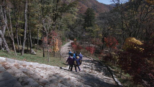 韩国五台山深秋 游客下山 两侧枫林 长楼梯