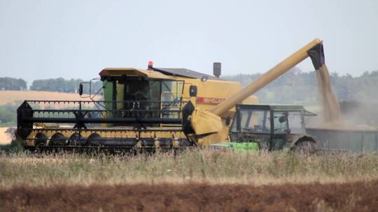 联合收割机在收割新鲜小麦