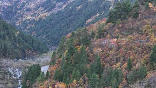 四川九寨沟彩林秋景和蓝色海子