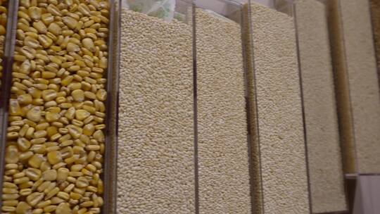 各种稻谷稻米粮食标本