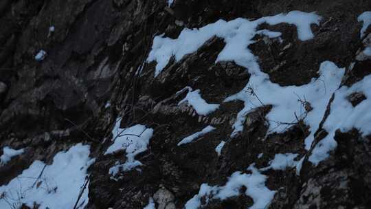 冬天 冬季 寒冷 凄凉 冷漠