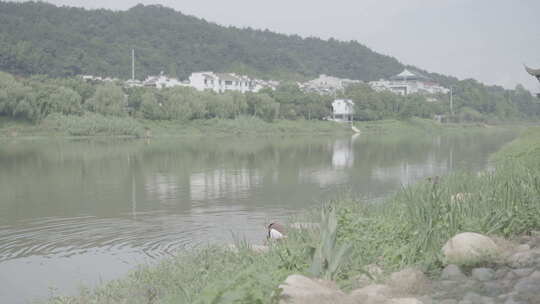 徽派建筑马头墙乡村温馨和谐留守老人景象