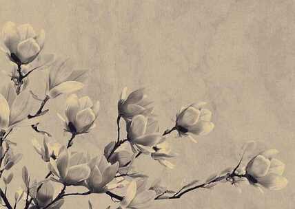 凤凰桥雪 思念 弦乐 凤凰桥 雪景 幻