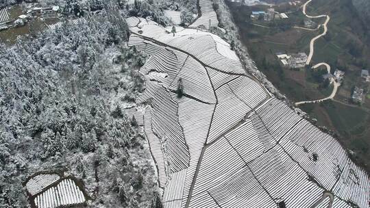 大自然寒潮冬天下雪的村庄田野航拍风景