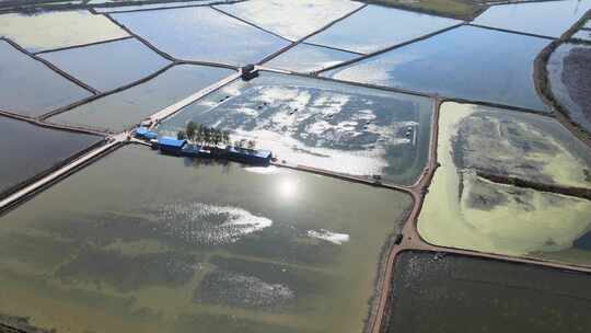 武汉梁子湖螃蟹养殖基地航拍