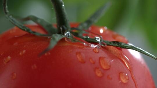 水滴滴落在西红柿上的特写镜头