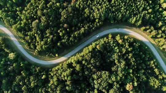 航拍汽车行驶在蜿蜒绿色森林公路
