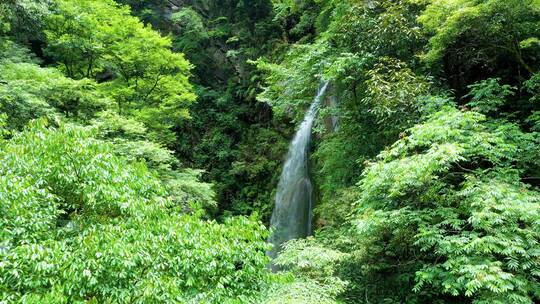 4K航拍壶瓶山山区壶瓶山大峡谷小溪