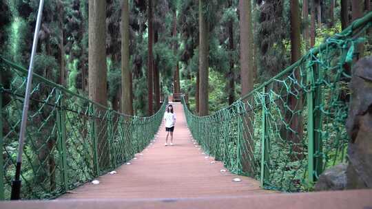 峨眉山 七里坪 公园 森林 青山绿水