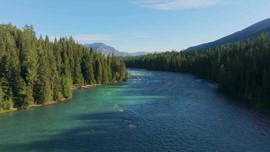 航拍夏季新疆喀纳斯河风景