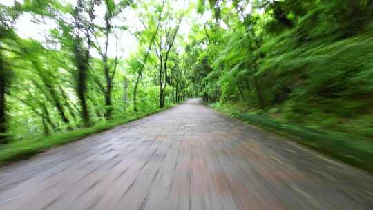 汽车行驶在森林公园盘山路上