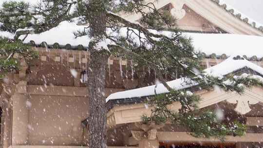 日本山中温泉的一场大雪。这个地方在一千多