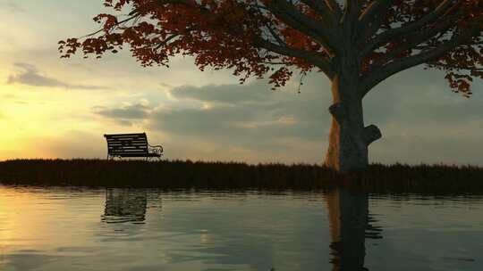 秋日枫树下的长椅