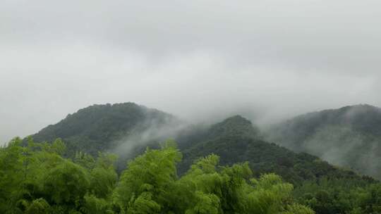 【延时】雨后山林烟雾飘渺01