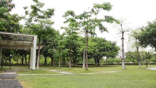 雨后的城市公园