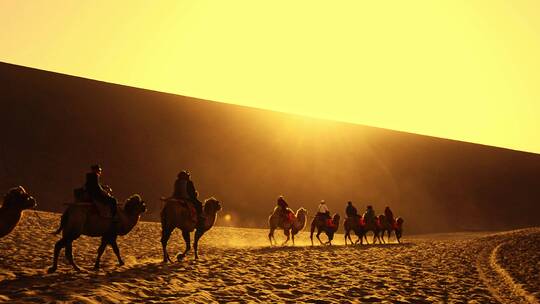 新疆沙丘沙漠骆驼队