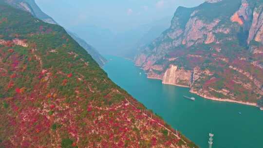 长江三峡巫峡红叶