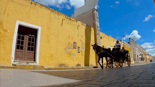 calesa en calle de p