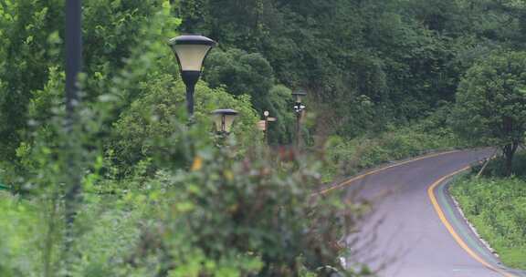 生态山庄森林竹海竹林宁静的步道