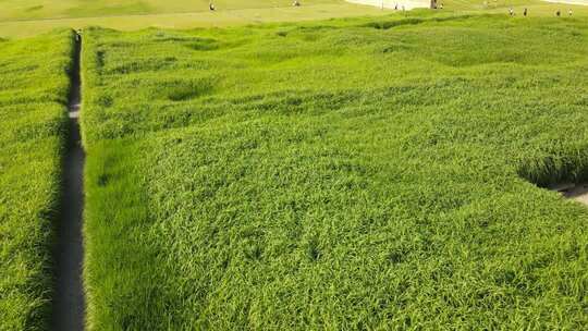 二里头夏都遗址博物馆