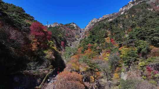 泰山对松山的秋色