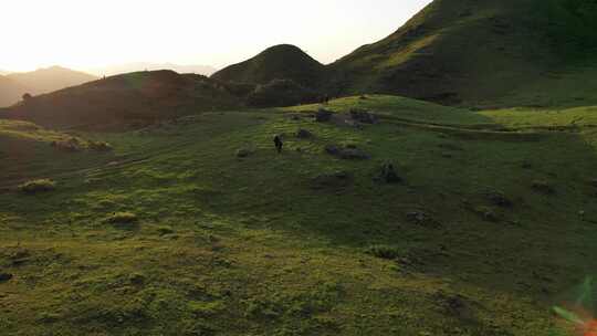 信宜平塘马安山草原，高山草甸