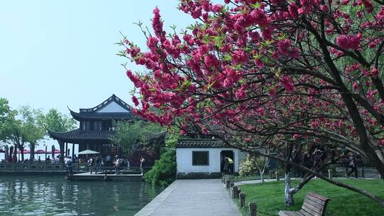杭州西湖风景区风景视频素材模板下载