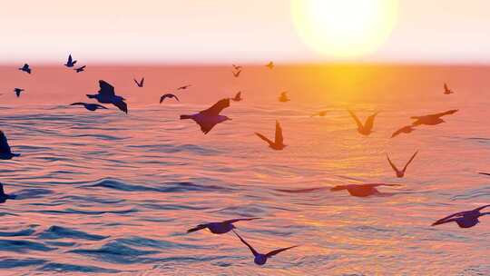 海面夕阳下飞舞的海鸥群慢动作