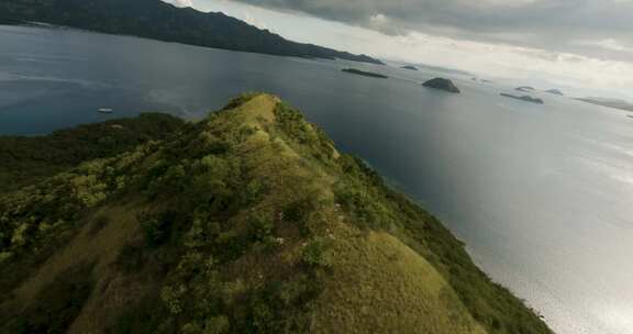 热带，岛屿，海洋，科莫多巨蜥