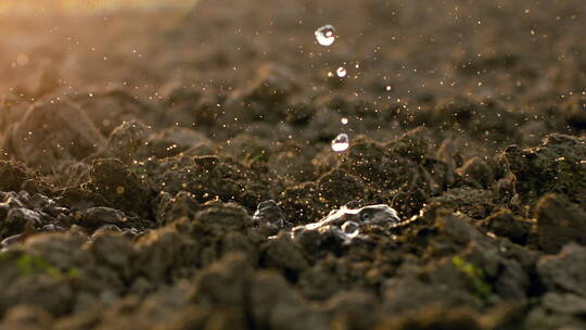 水滴落在土壤上