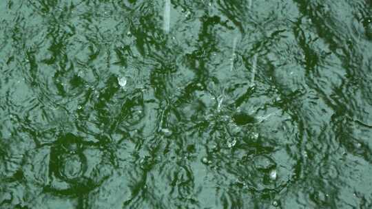 夏天暴雨，雨滴落在水里溅起水花