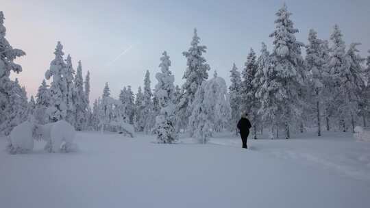 女孩漫步，在芬兰拉普兰的雪林中探索风景，