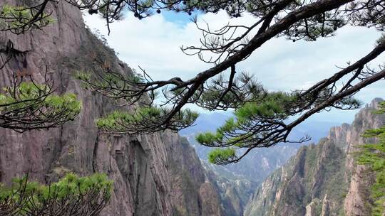 迎客松黄山景区风貌