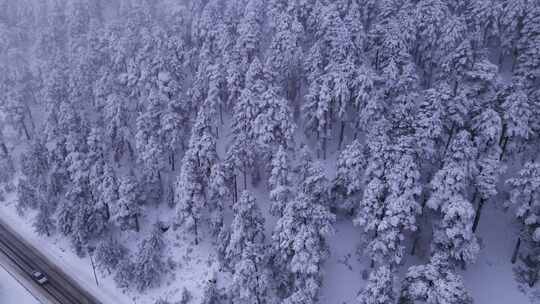 FPV无人机航拍汽车行驶在大雪森林的公路上