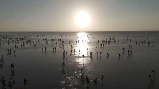 海面 滩涂 日出 朝霞 人群 海边 沙滩 航拍