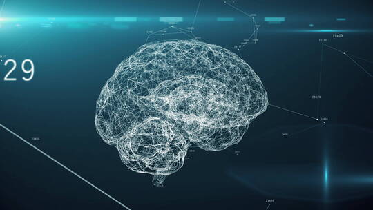 大脑 AI 人工智能 大数据 科技视频素材模板下载